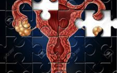 L’ostéopathie thérapie manuelle et fertilité